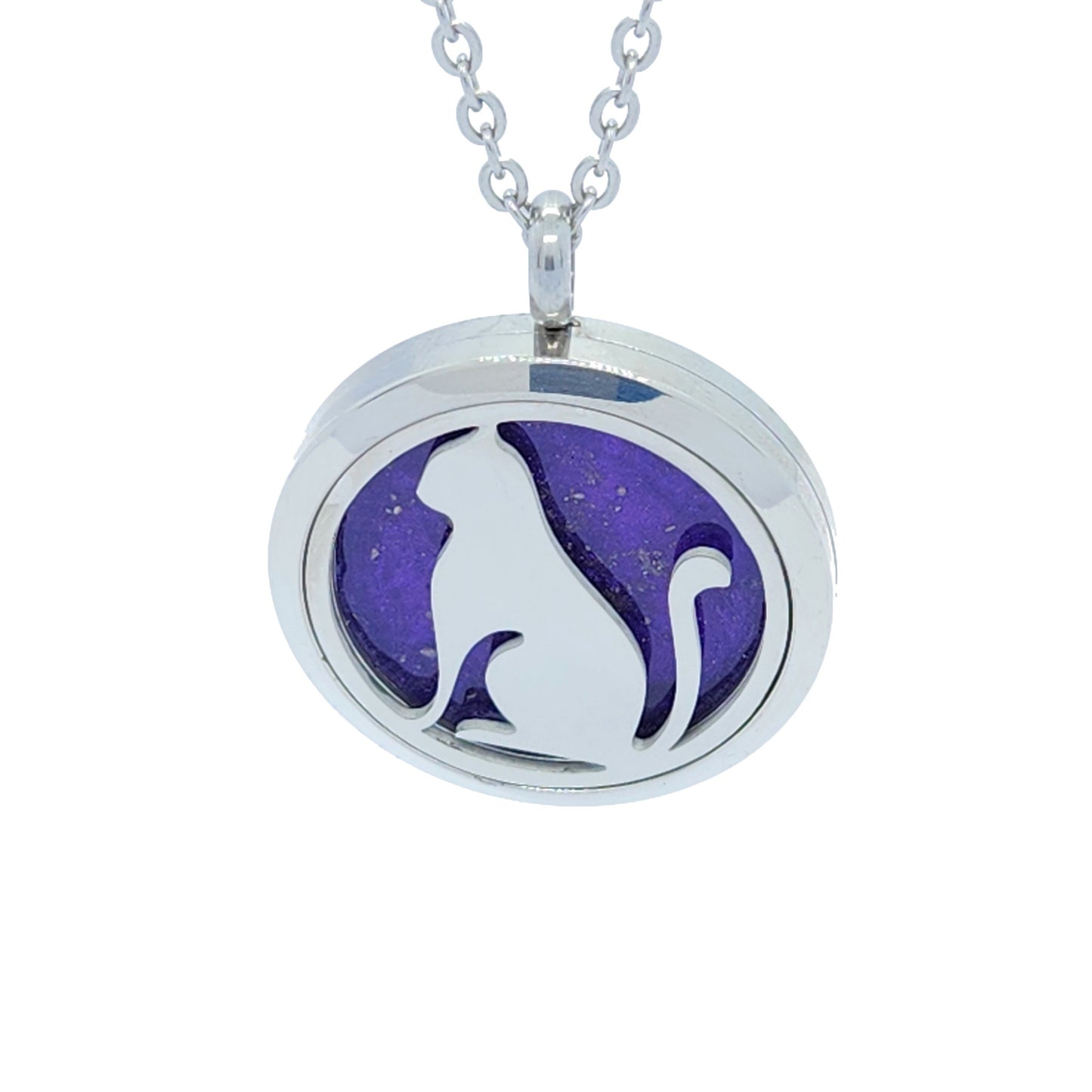 Stainless Steel Pet Cremation Necklace