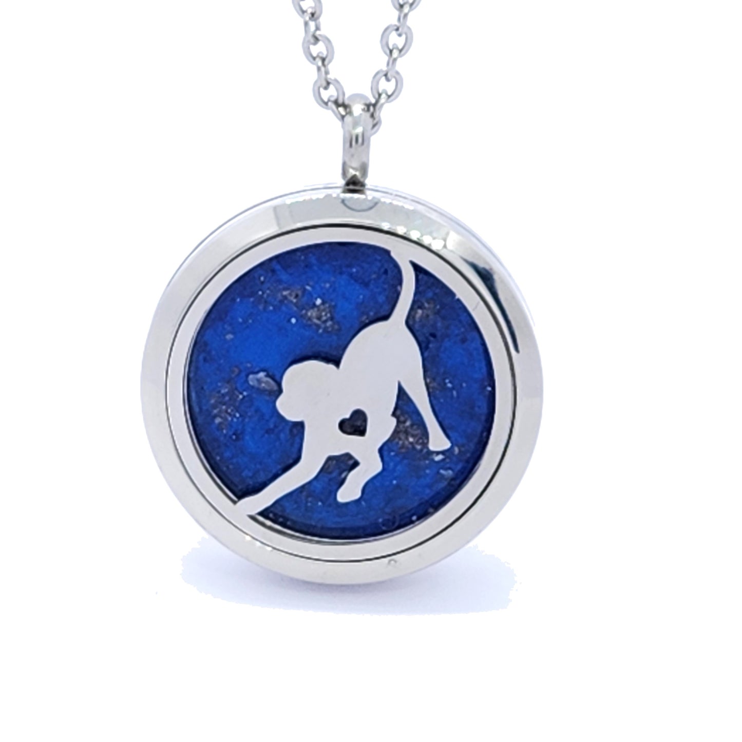 Stainless Steel Pet Cremation Necklace