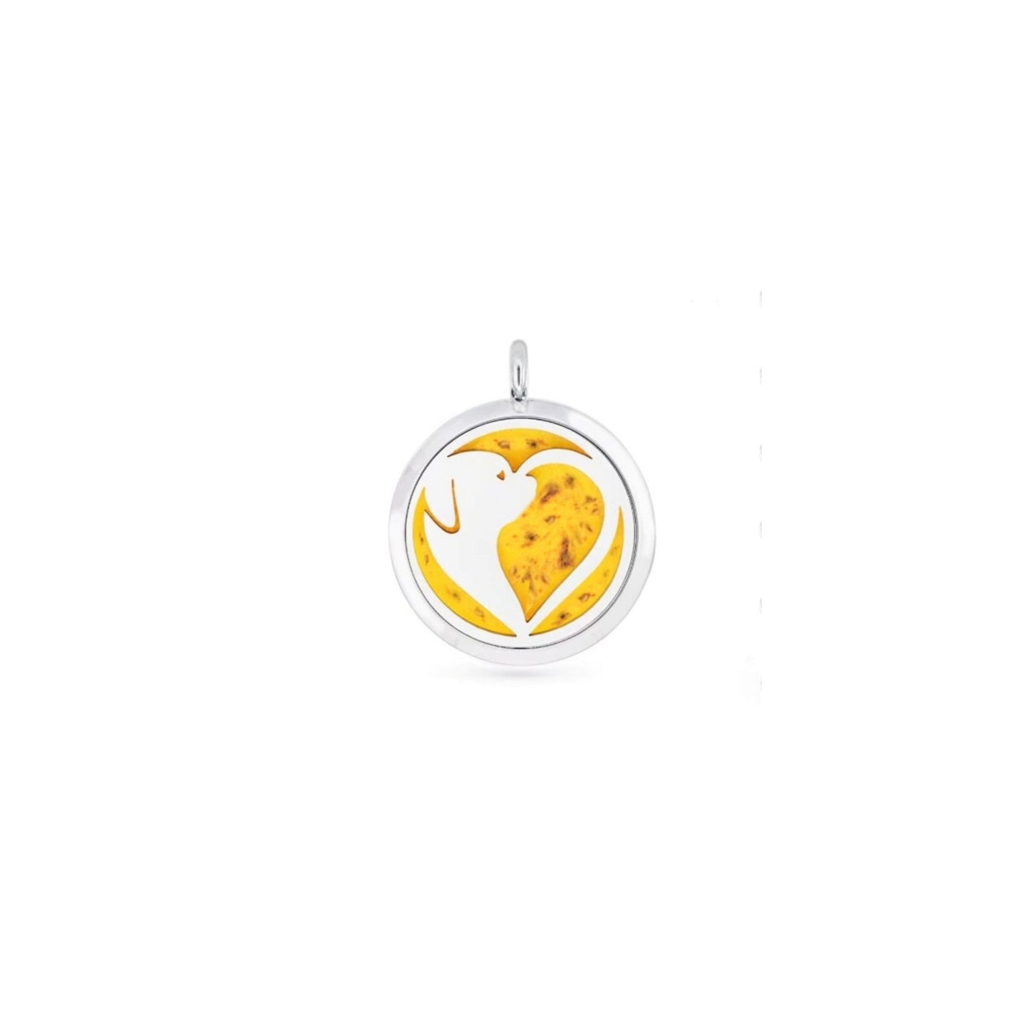 Pet Memorial Stainless Steel Cremation Pendant – Necklace for Ashes