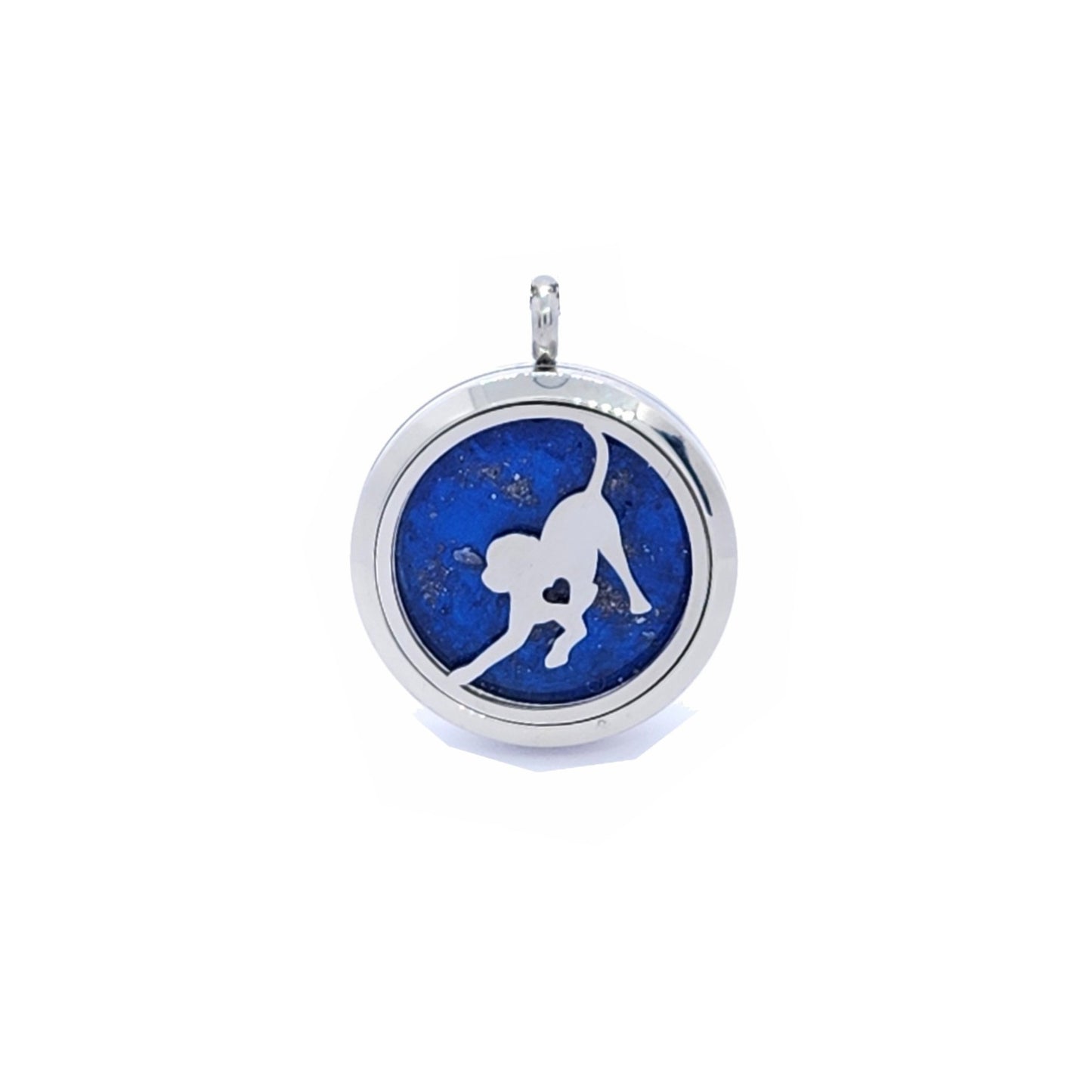 Pet Memorial Stainless Steel Cremation Pendant – Necklace for Ashes