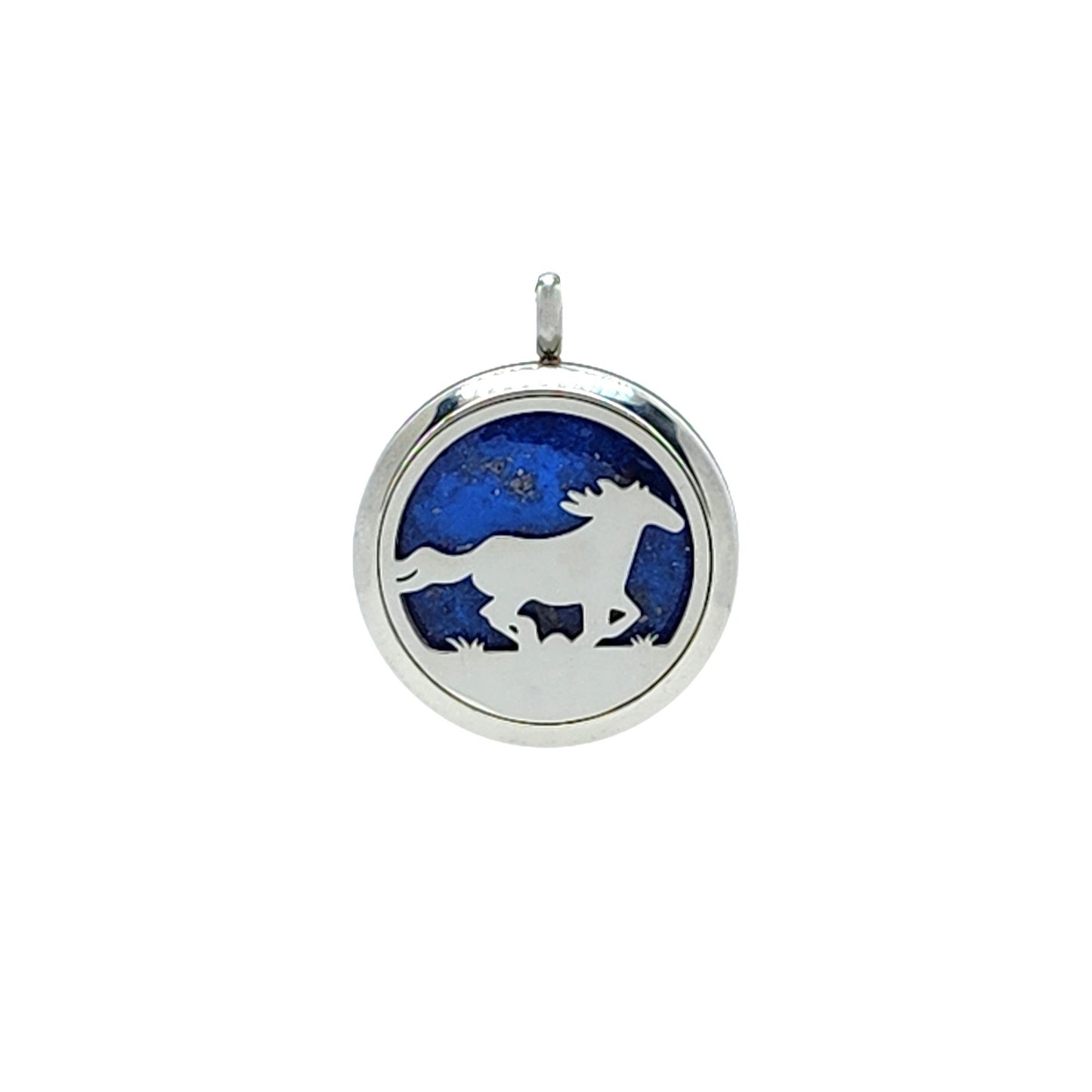 Pet Memorial Stainless Steel Cremation Pendant – Necklace for Ashes