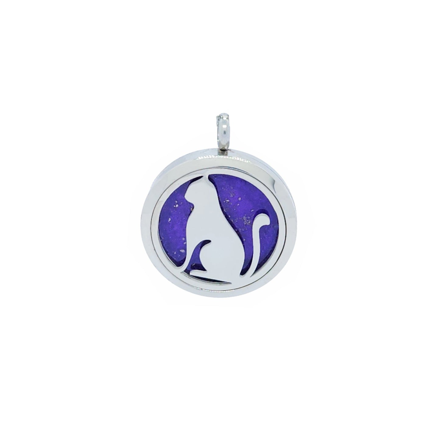 Pet Memorial Stainless Steel Cremation Pendant – Necklace for Ashes